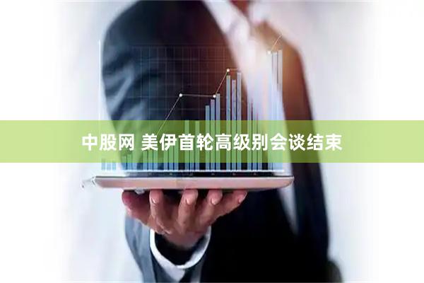 中股网 美伊首轮高级别会谈结束